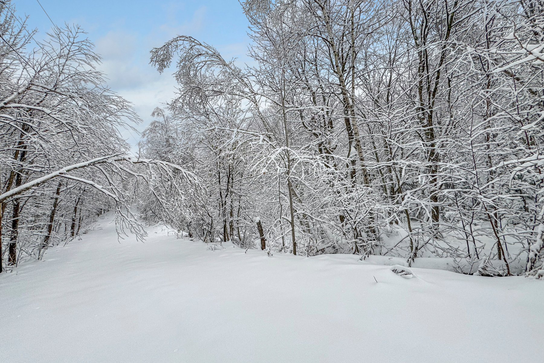 {"FR":"Terre/Terrain","EN":"Land/Lot"}